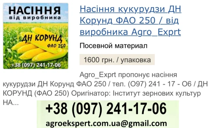 Продаж насіння кукурудзи ДН Корунд (ФАО 250) - фото № 1
