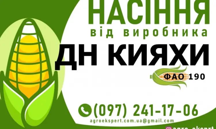 Гибрид кукурузы ДН Кияхи (ФАО 190) от производителя - фото № 1