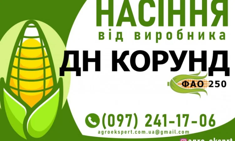 Гібрид кукурудзи ДН Корунд (ФАО 250) від виробника - фото № 1