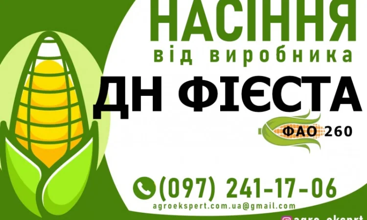 Гібрид кукурудзи ДН Фієста (ФАО 260) від виробника - фото № 1