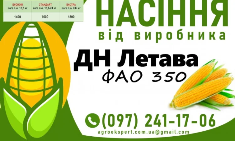 Насіння кукурудзи ДН Летава (ФАО 350) 2025 року - фото № 1