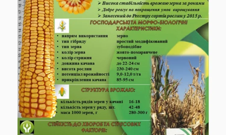 Продаж ДБ Хотин ФАО 280 - фото № 1