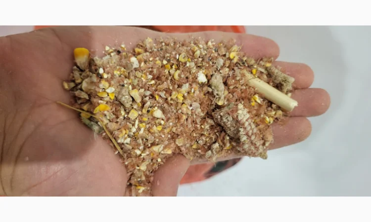 Продажа отходов кукурузы различных категорий - фото № 8