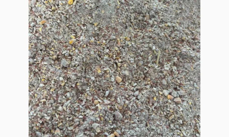 Продажа отходов кукурузы различных категорий - фото № 9