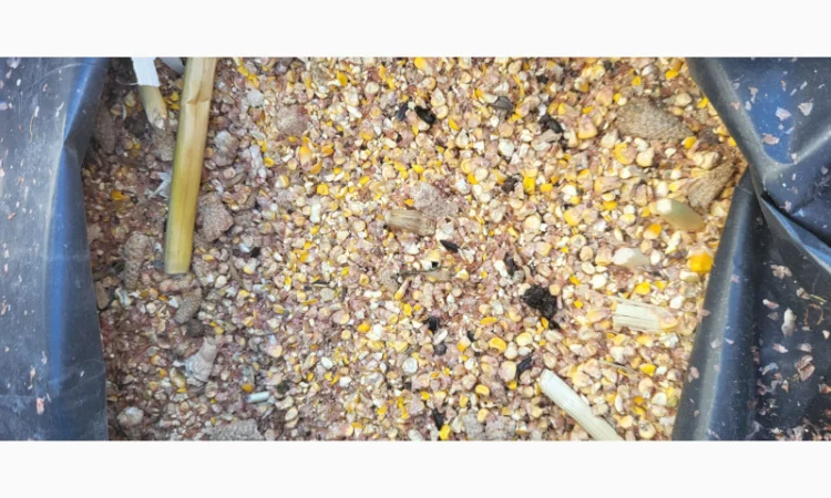 Продажа отходов кукурузы различных категорий - фото № 11