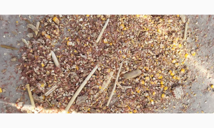 Продажа отходов кукурузы различных категорий - фото № 12