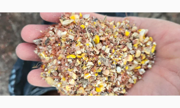 Продажа отходов кукурузы различных категорий - фото № 1