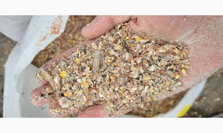 Продажа отходов кукурузы различных категорий - фото № 3