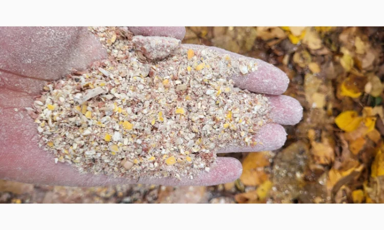 Продажа отходов кукурузы различных категорий - фото № 4