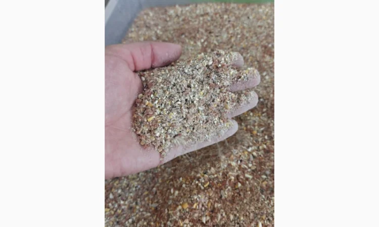 Продажа отходов кукурузы различных категорий - фото № 6