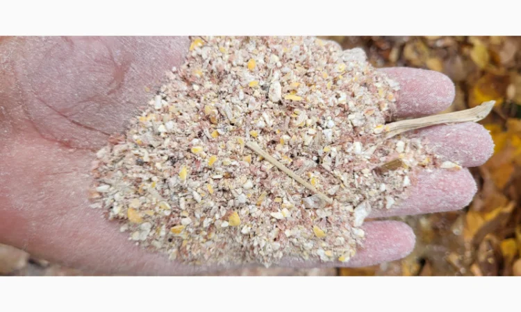 Продажа отходов кукурузы различных категорий - фото № 7