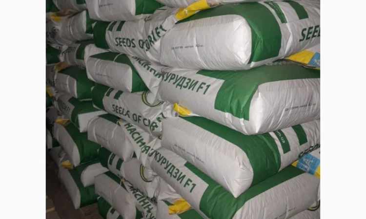 Продаж гібриду кукурудзи ДБ Хотин (ФАО 280) - фото № 2
