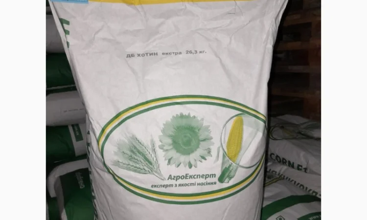 Продаж гібриду кукурудзи ДБ Хотин (ФАО 280) - фото № 3