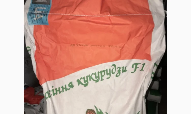 Продаж гібриду кукурудзи ДБ Хотин (ФАО 280) - фото № 4