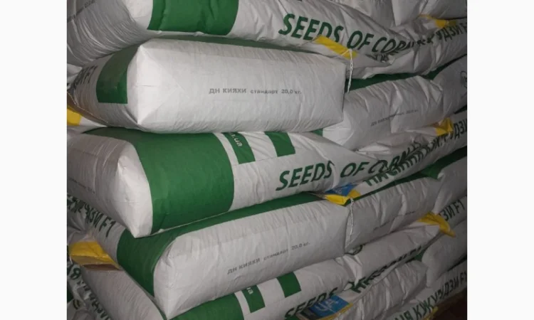 Продаю гібрид кукурудзи ДН Кияхи (ФАО 180) - фото № 2