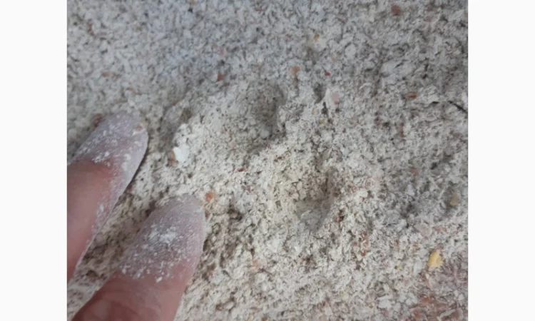 Продается мучка кукурузы 200 тонн - фото № 3