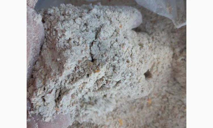 Продается мучка кукурузы 200 тонн - фото № 6