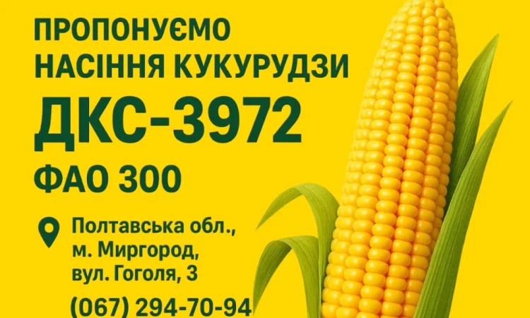 Високоврожайний гібрид кукурудзи ДКС 3972 (ФАО 300) на продаж - фото № 1