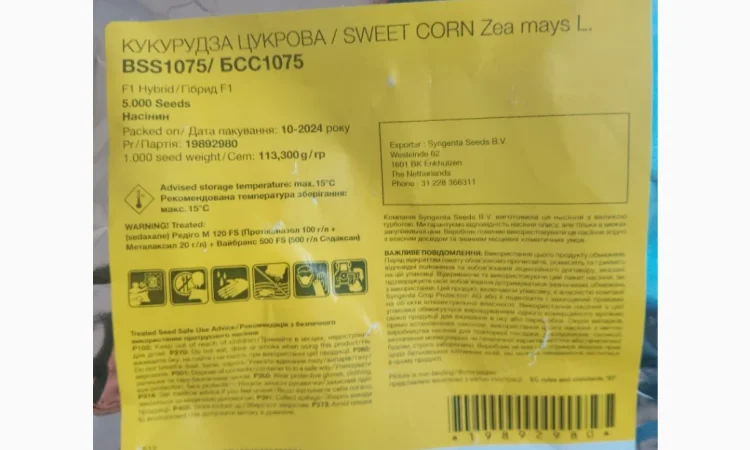 Продажа Насіння солодкої Кукурудзи БСС1075 - фото № 2