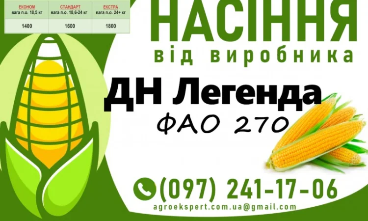 Продажа семян кукурузы ДН Легенда (ФАО 270) 2025 года - фото № 1