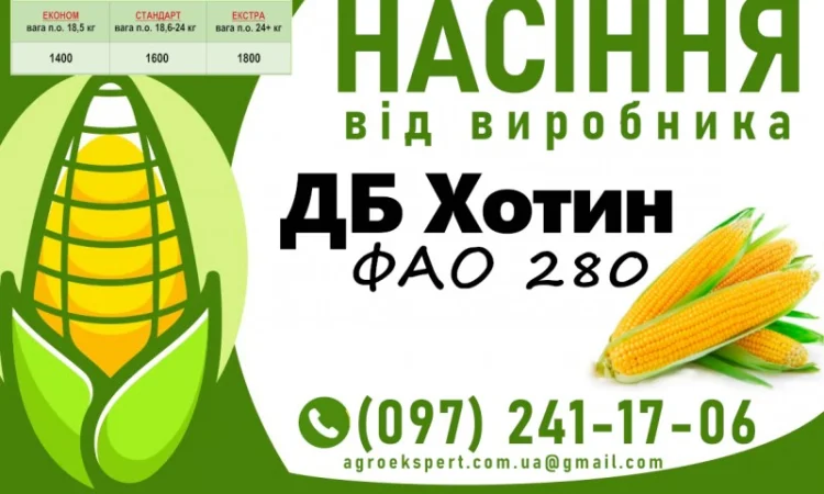 Продаж насіння кукурудзи ДБ Хотин (ФАО 2860) 2025 року - фото № 1