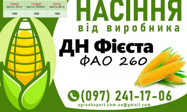 Продаж насіння кукурудзи ДН Фієста (ФАО 260) - фото № 1