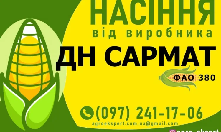 Продаж кукурудзи ДН Сармат (ФАО 380) - фото № 1