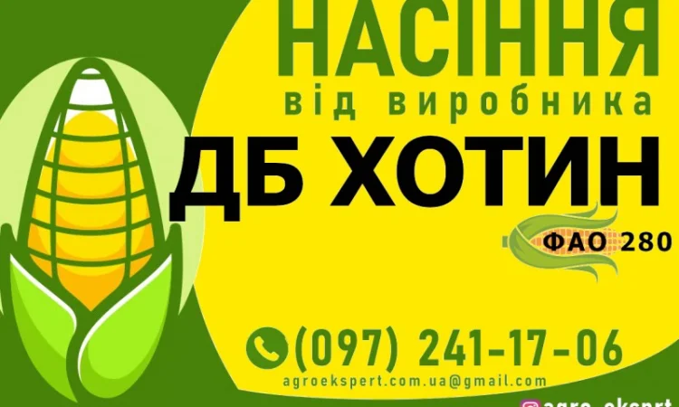 Продаж насіння кукурудзи ДБ Хотин (ФАО 280) - фото № 1