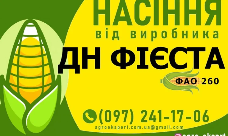 Гибрид кукурузы ДН Фиеста (ФАО 260) от производителя - фото № 1