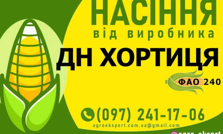 Гібрид кукурудзи ДН Хортиця (ФАО 240) від виробника - фото № 1