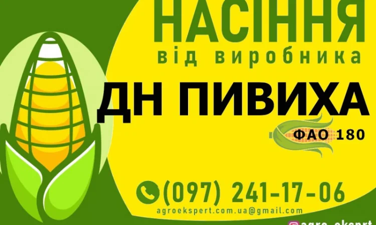 Гібрид кукурудзи ДН Пивиха (ФАО 180) від виробника - фото № 1