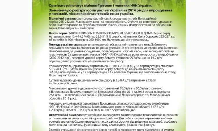 Насіння озимої пшениці Астарта в продаже - фото № 2