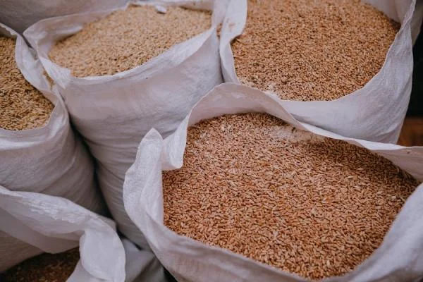 Закупка побічних продуктів зернових - фото № 1