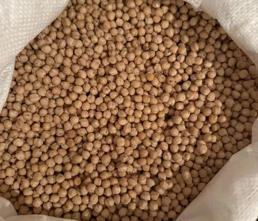 Нут Український,Нут Узбецкий ,Кус-кус, Маш - фото № 1
