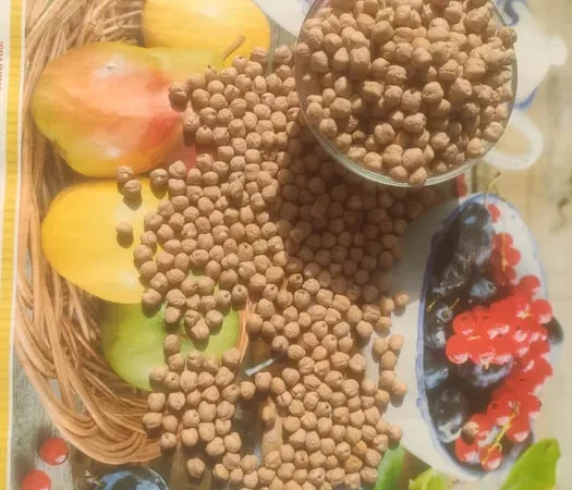 Турецький горох нут.Крупний нут. - фото № 1