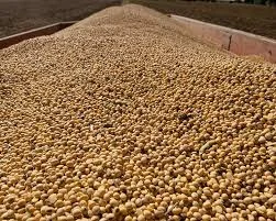 Купую сою оптом по всій Україні - фото № 1