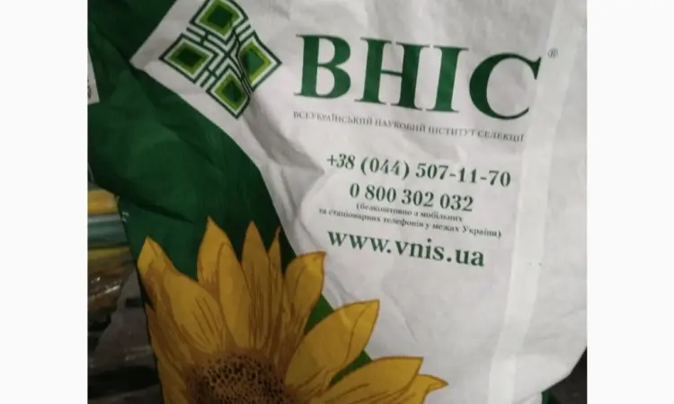Продам насіння соняшнику ВНІС : фракц.станд Армагедон - фото № 2