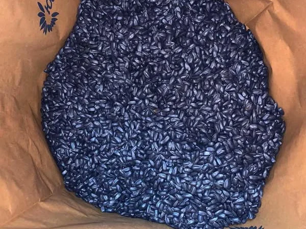 Насіння соняшнику НС Оскар (гібрид стійкий до гранстару - фото № 1