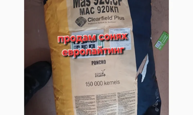 Продам соняшник Евролайтинг 2 мішка - фото № 1
