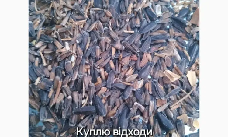 Купим відходи соняшника ділові - фото № 1