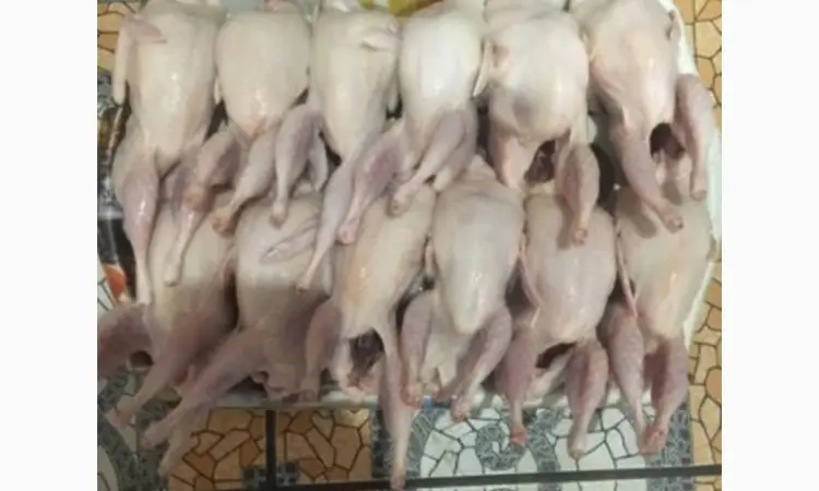 Продам тушку перепілки - фото № 1