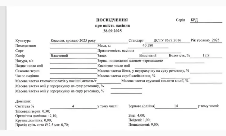 Продадим фасоль белую урожая 2025 года - фото № 3