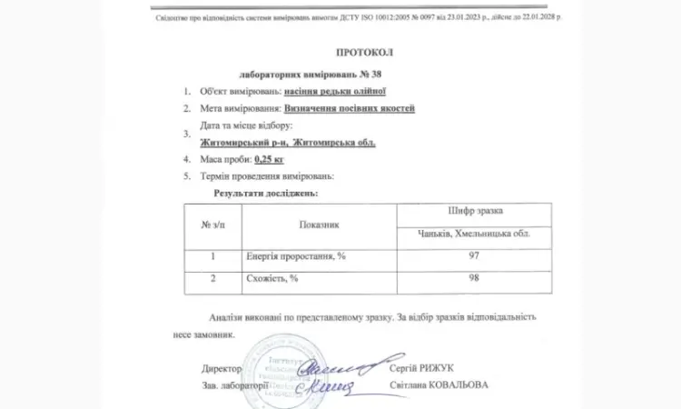 Насіння редьки олійної для сидерату – продаж - фото № 2