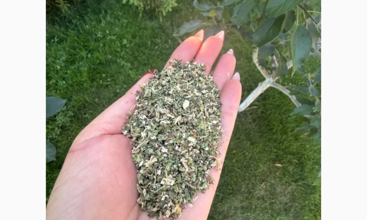 Продается тютюн высокого качества - фото № 1