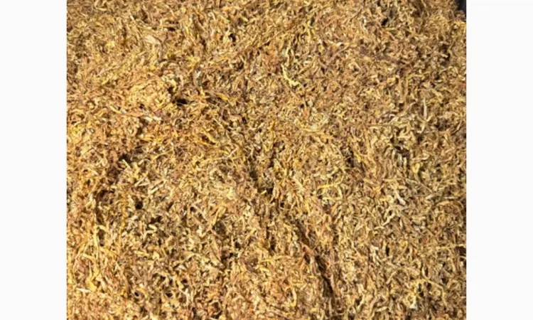 Продам ТЮТЮН гарної якості! Гільзи та Машинки - фото № 2