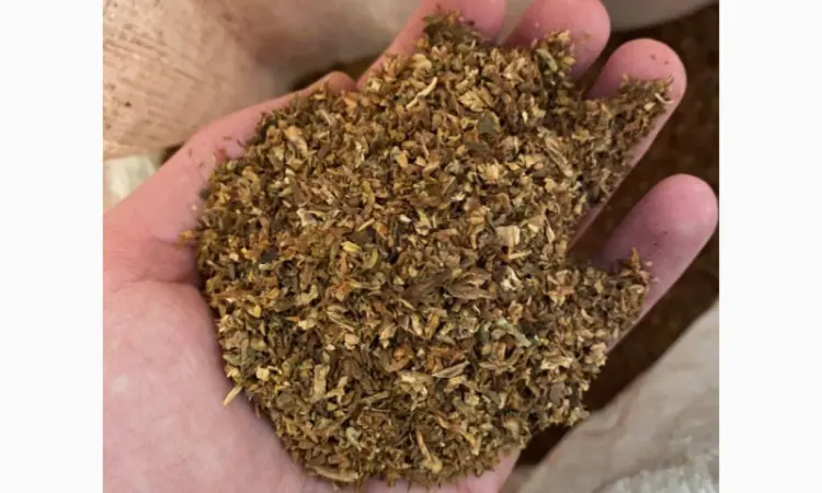 Премиальный табак со вкусом уровня Davidoff - мягкий и ароматный - фото № 3