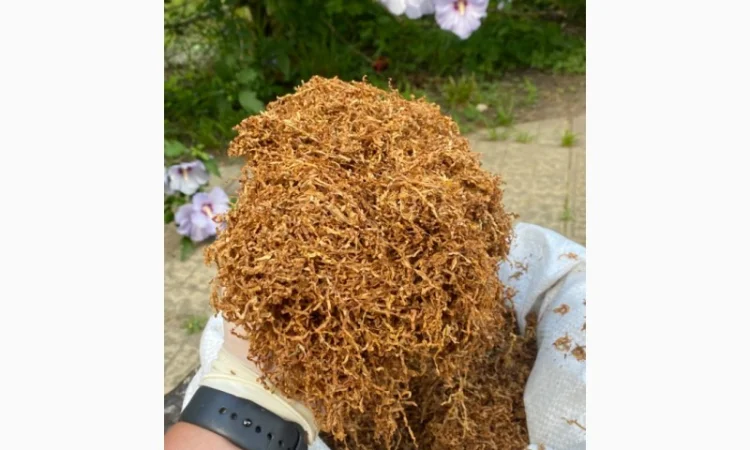 Тютюн Вірджинія середня – идеальный баланс вкуса и крепости - фото № 4