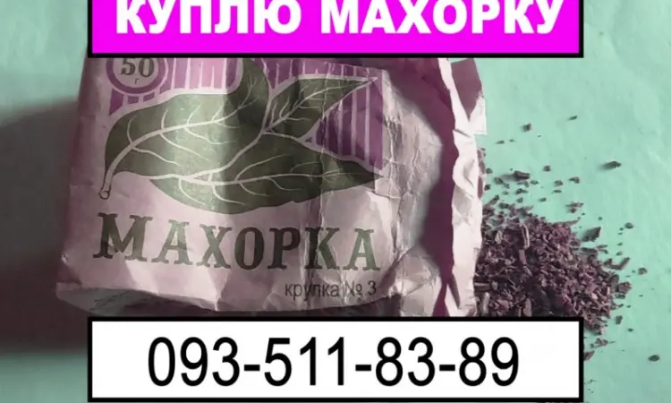 Махорка на закупку - фото № 1