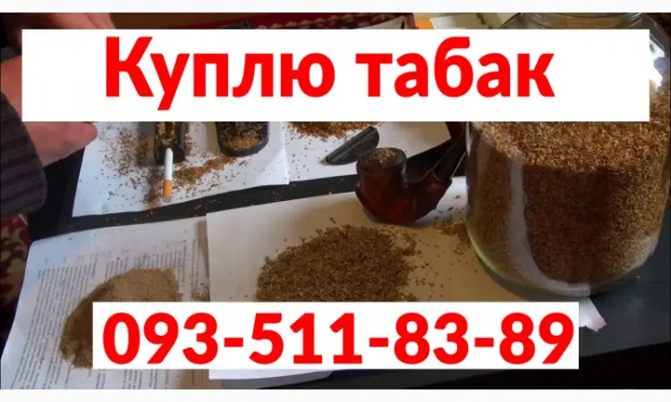 Купим махорку от производителя - фото № 1