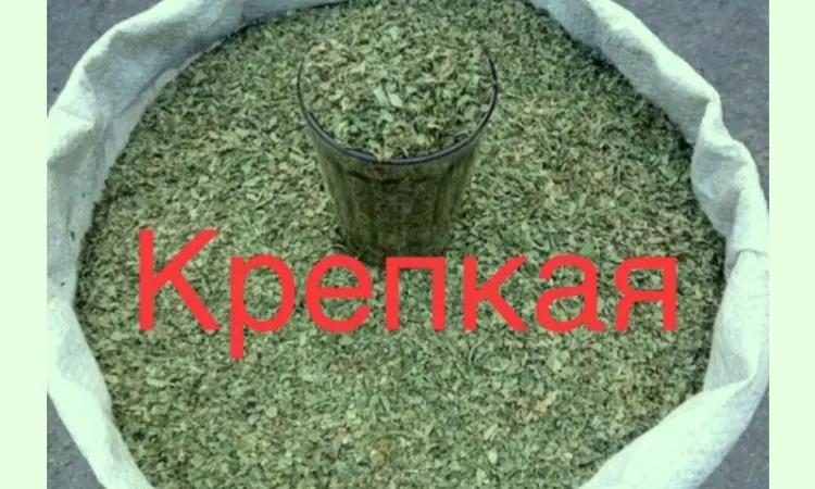 Махорка вищого сорту: ваш найкращий вибір - фото № 1